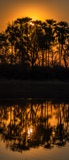 Seba - Sunset Seba - Sunset